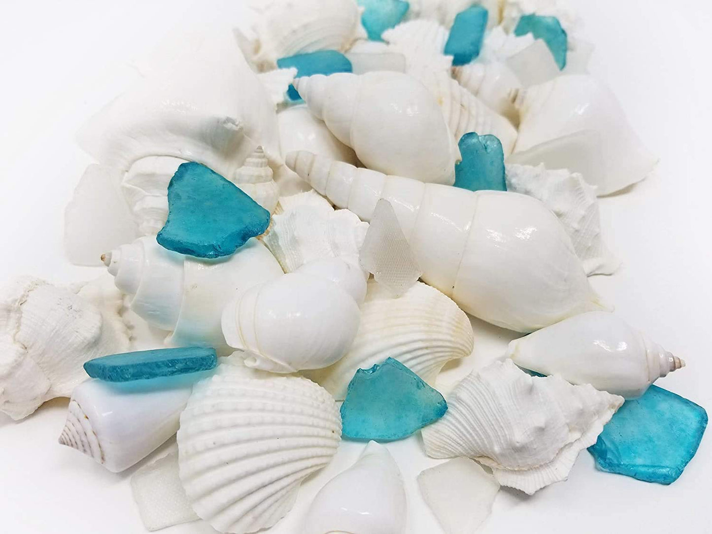 Sea Shells, Starfish & Sea Glass Mix