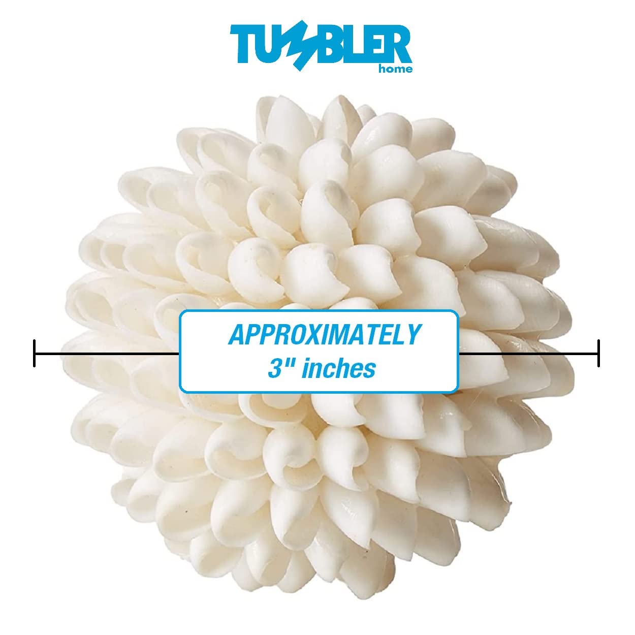 Decorative Shell Ball - 3 Inch