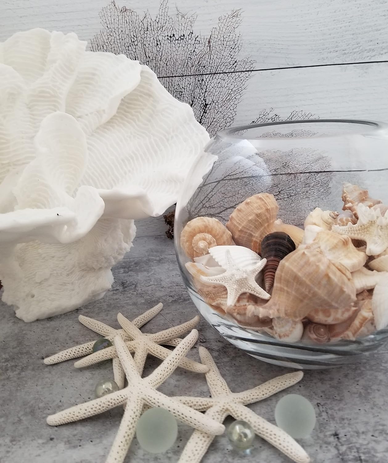 Tan Shell Mix