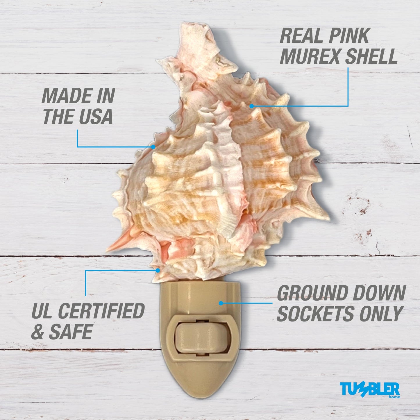 Real Shell Night Lights