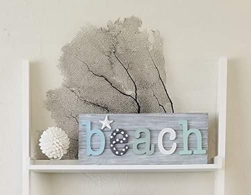 Decorative Shell Ball - 3 Inch