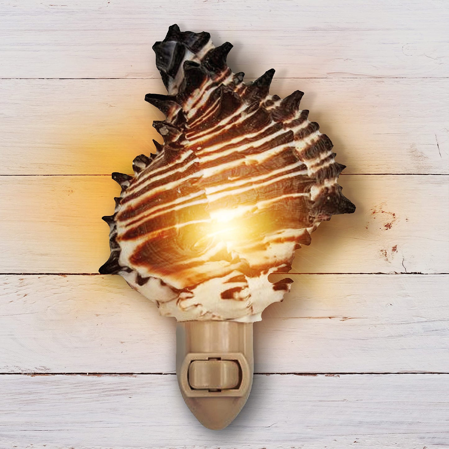 Real Shell Night Lights