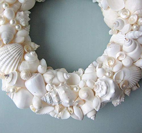 White Seashell Mix