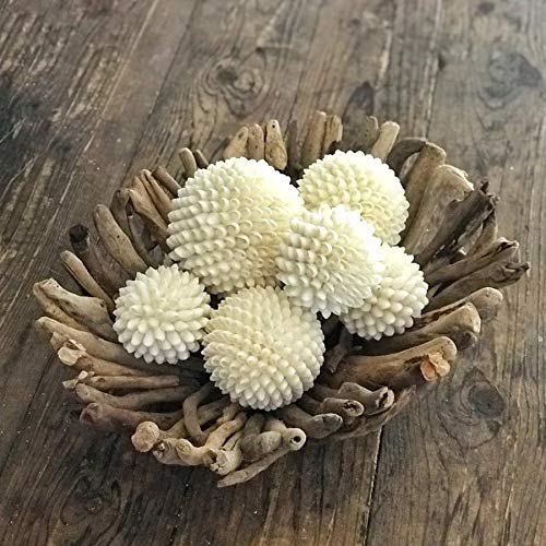 Decorative Shell Ball - 3 Inch