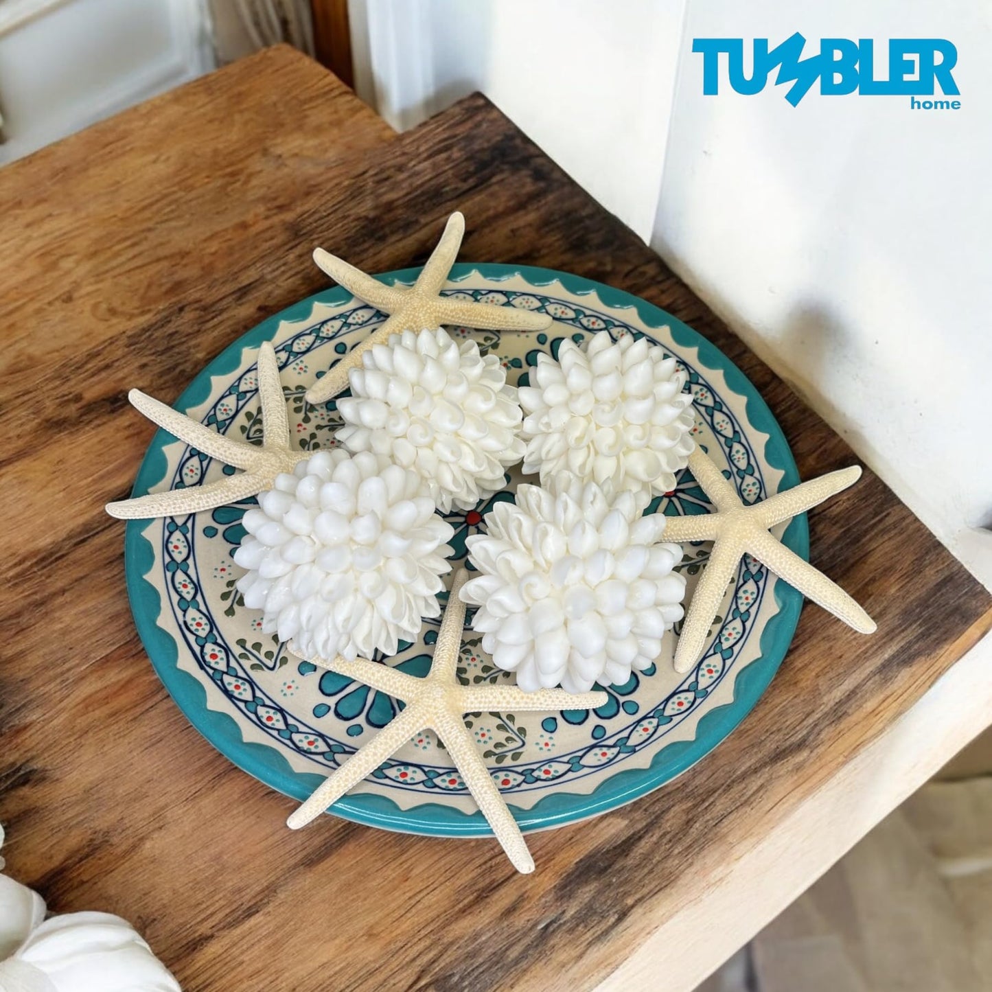Decorative Shell Ball - 3 Inch