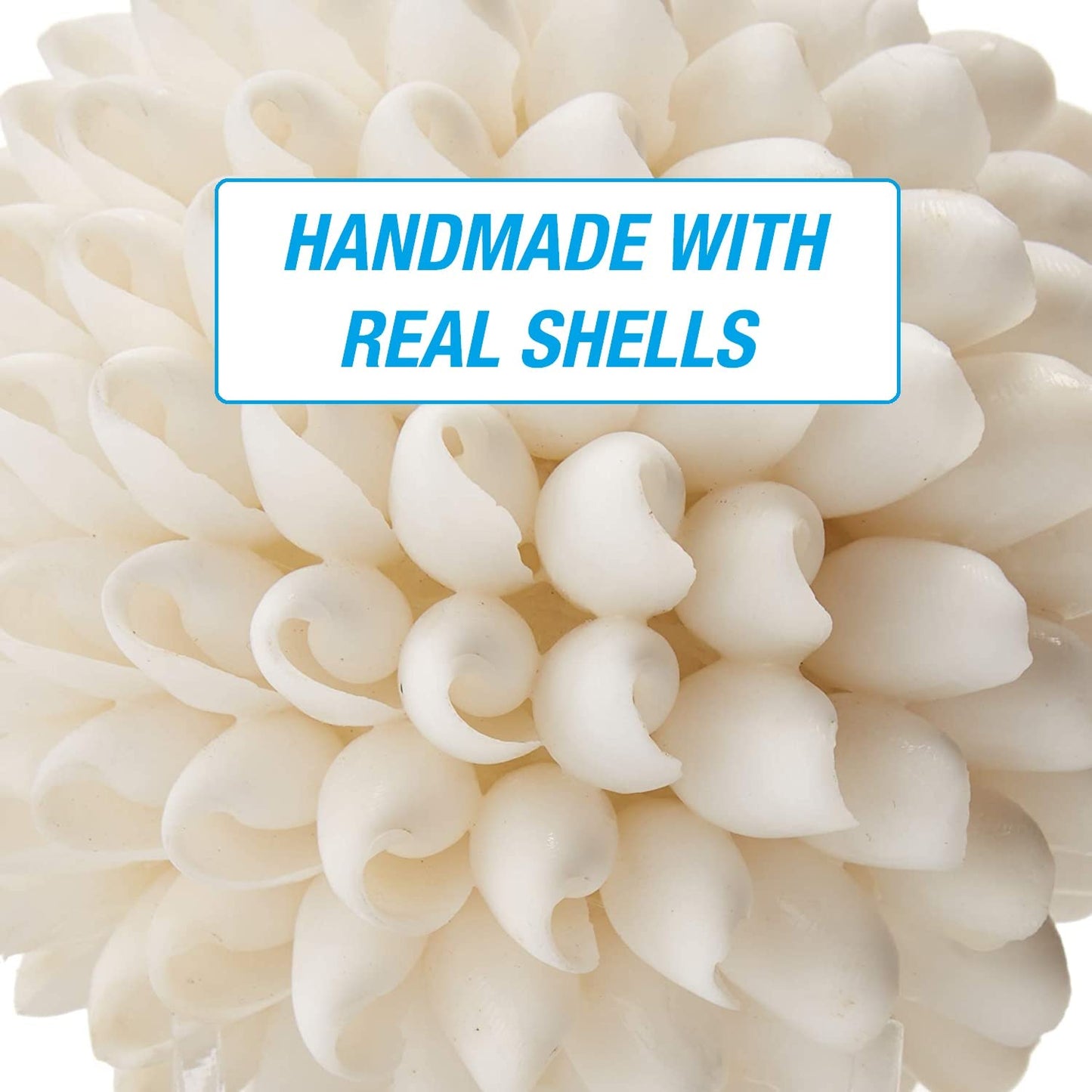 Decorative Shell Ball - 3 Inch
