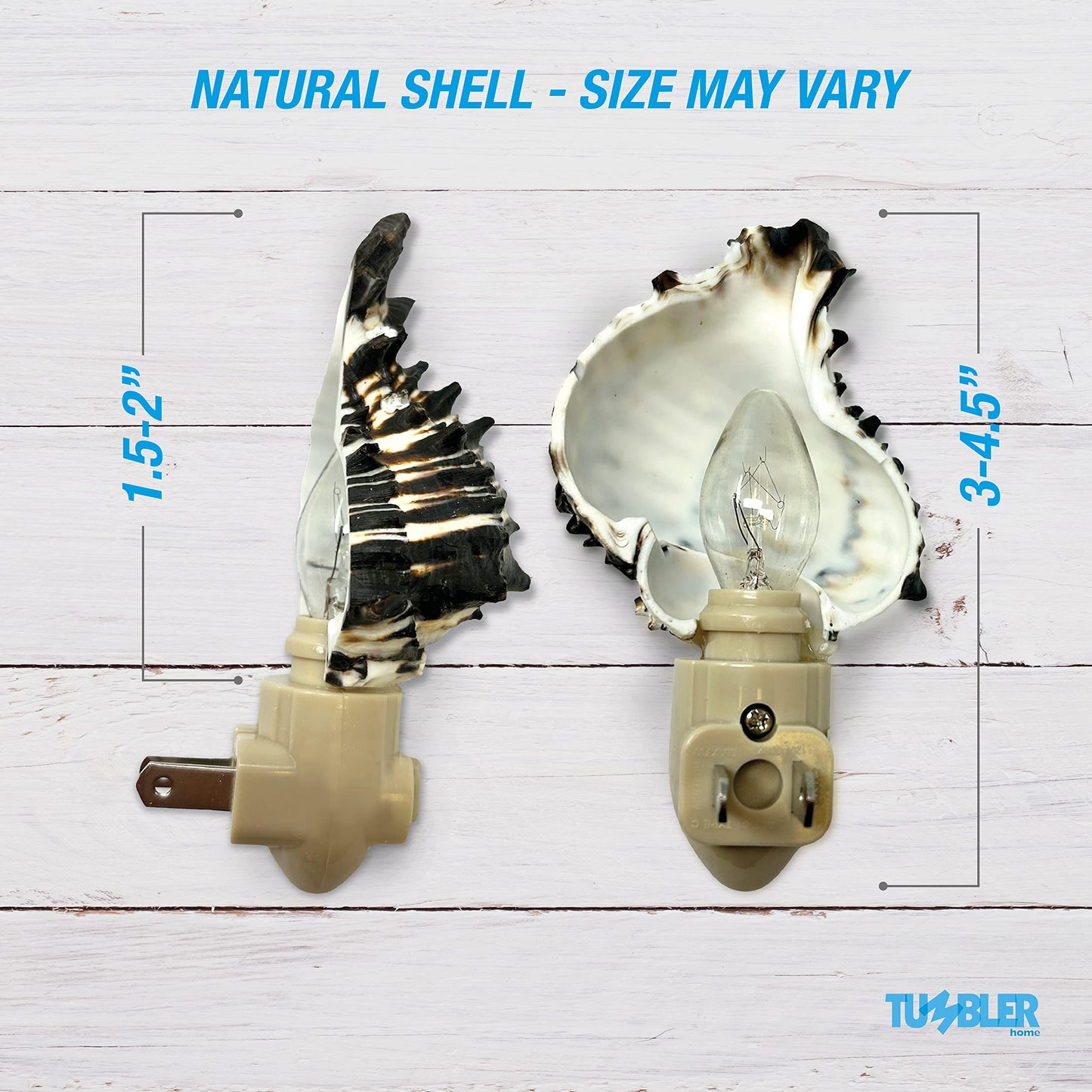 Real Shell Night Lights