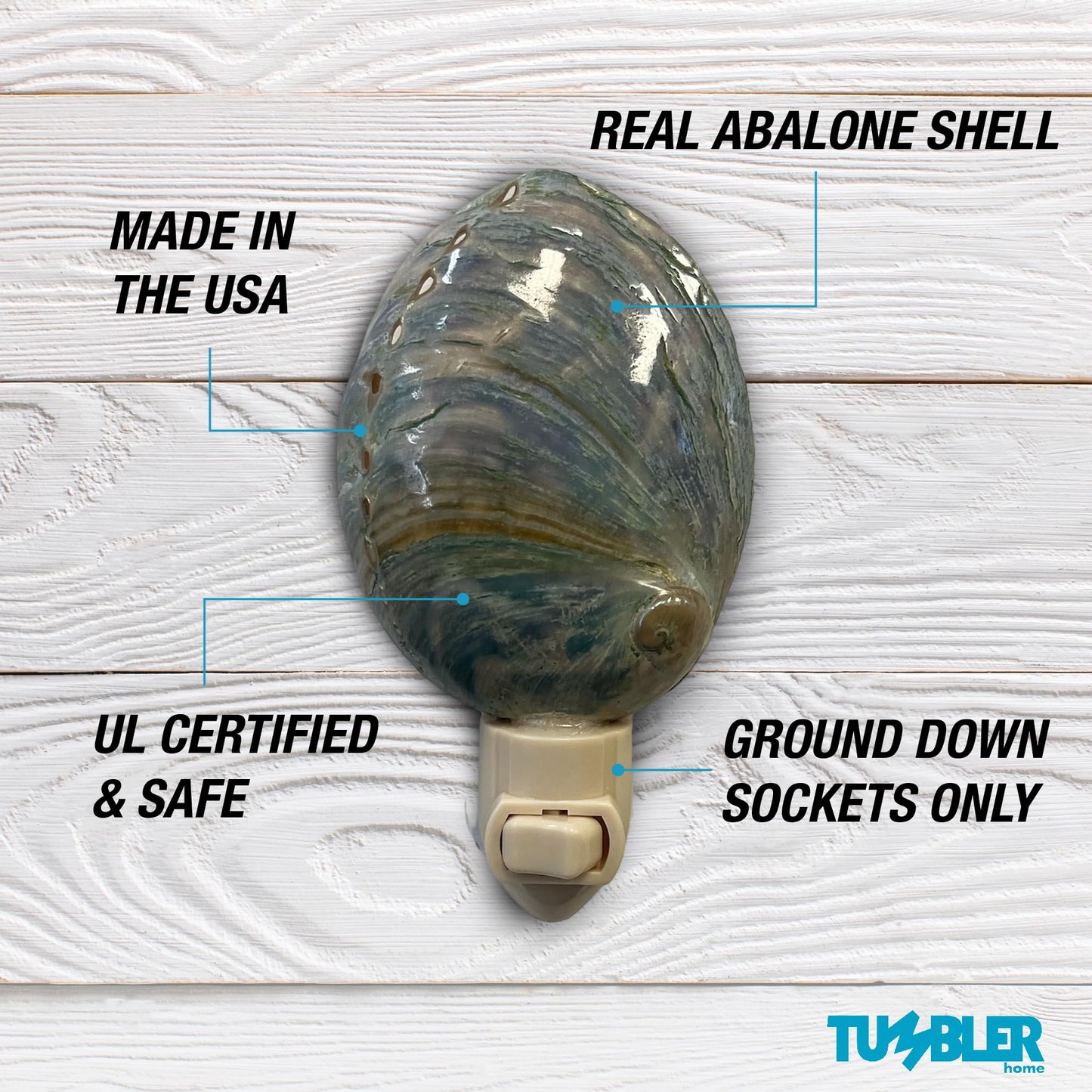 Real Shell Night Lights