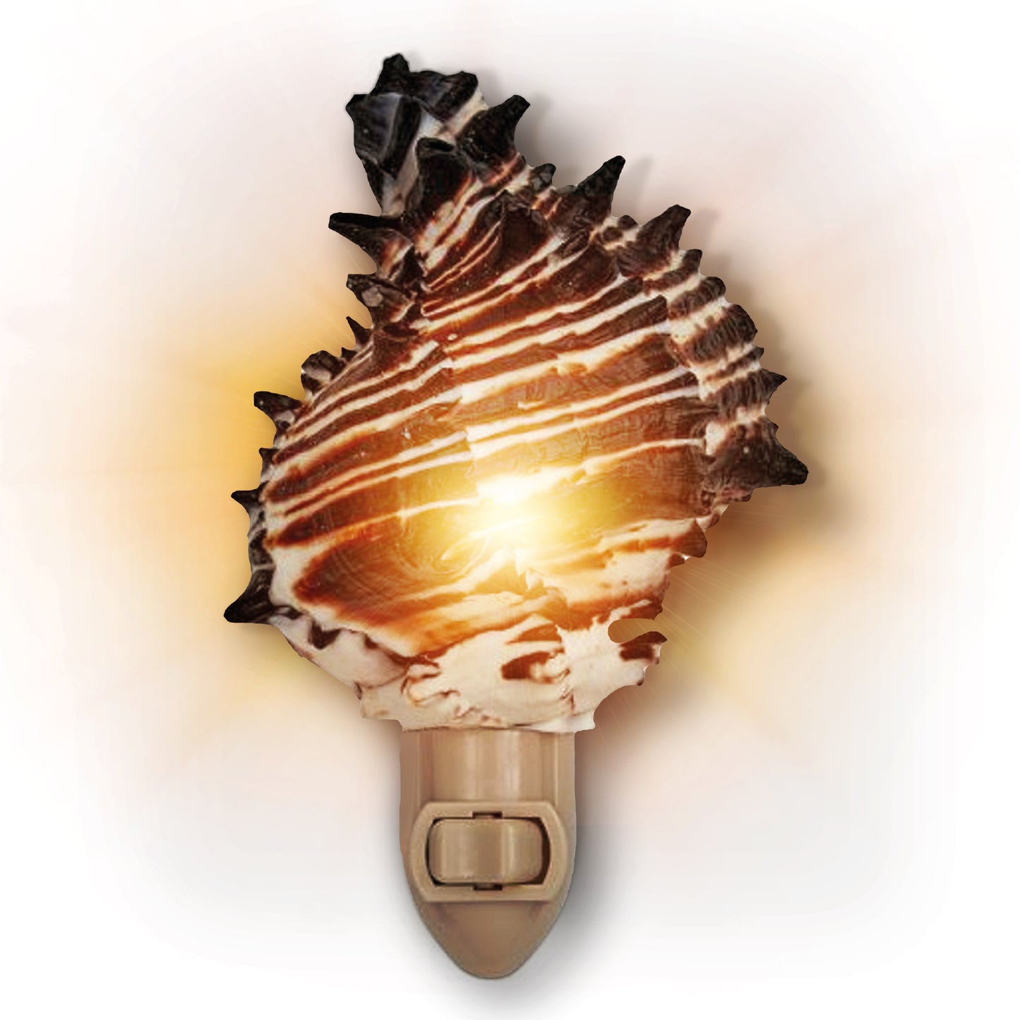 Real Shell Night Lights