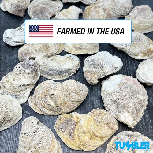 Oyster Shells for Crafts (20 pack)
