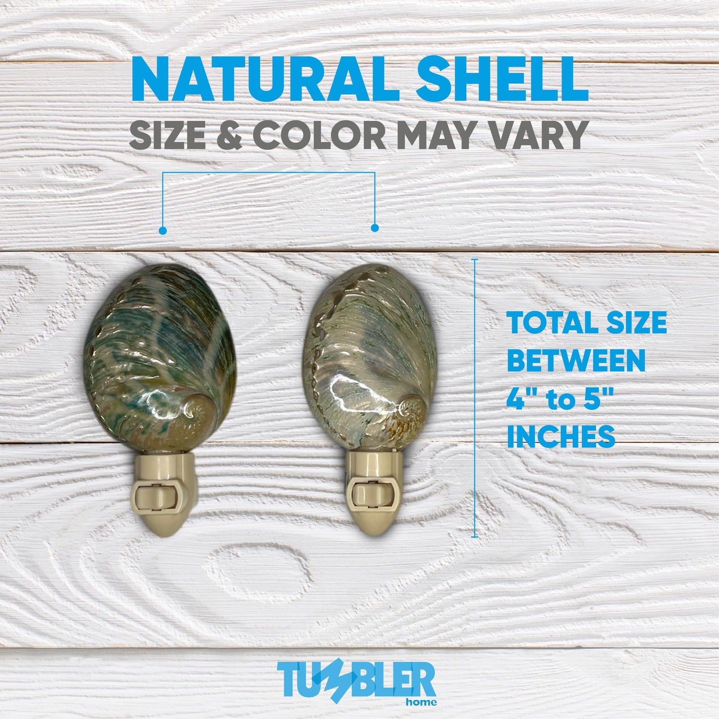 Real Shell Night Lights
