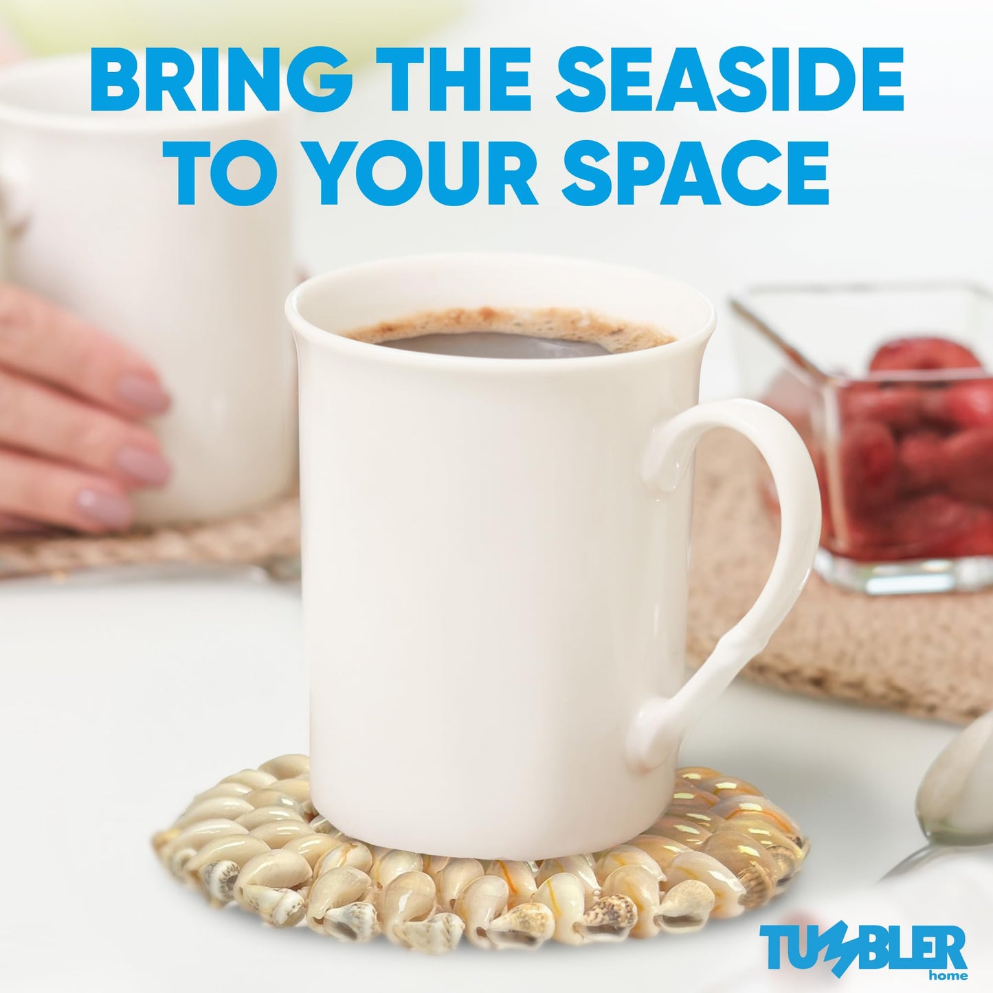 Shell Coasters (4 pack)