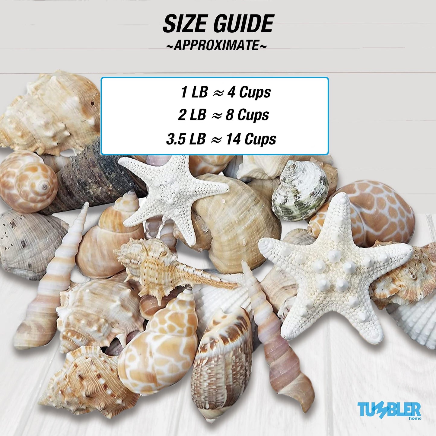Tan Shell Mix