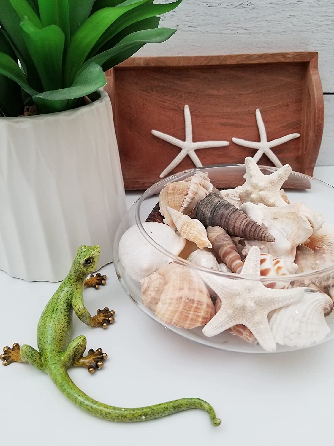 Tan Shell Mix