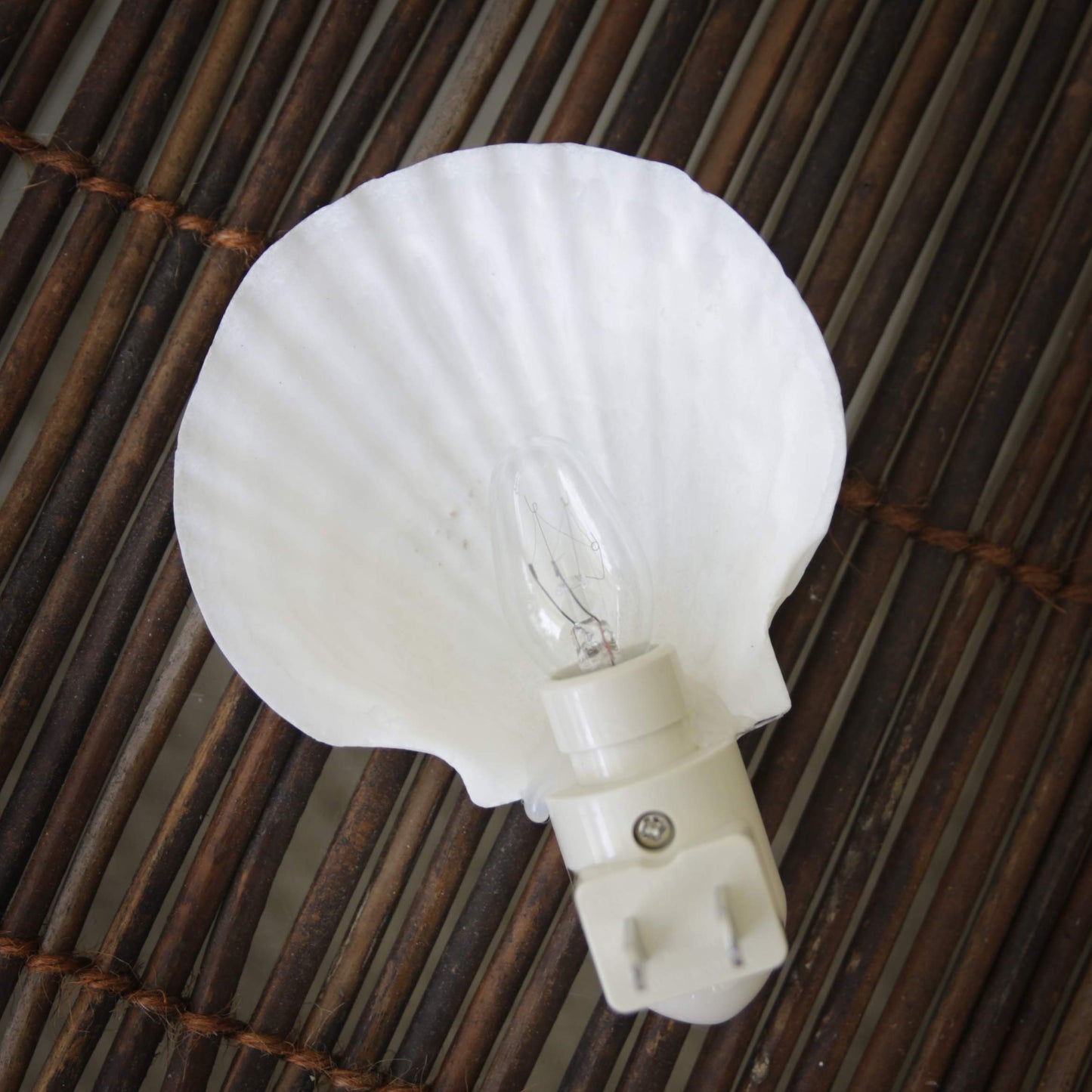 Beachy Night Light