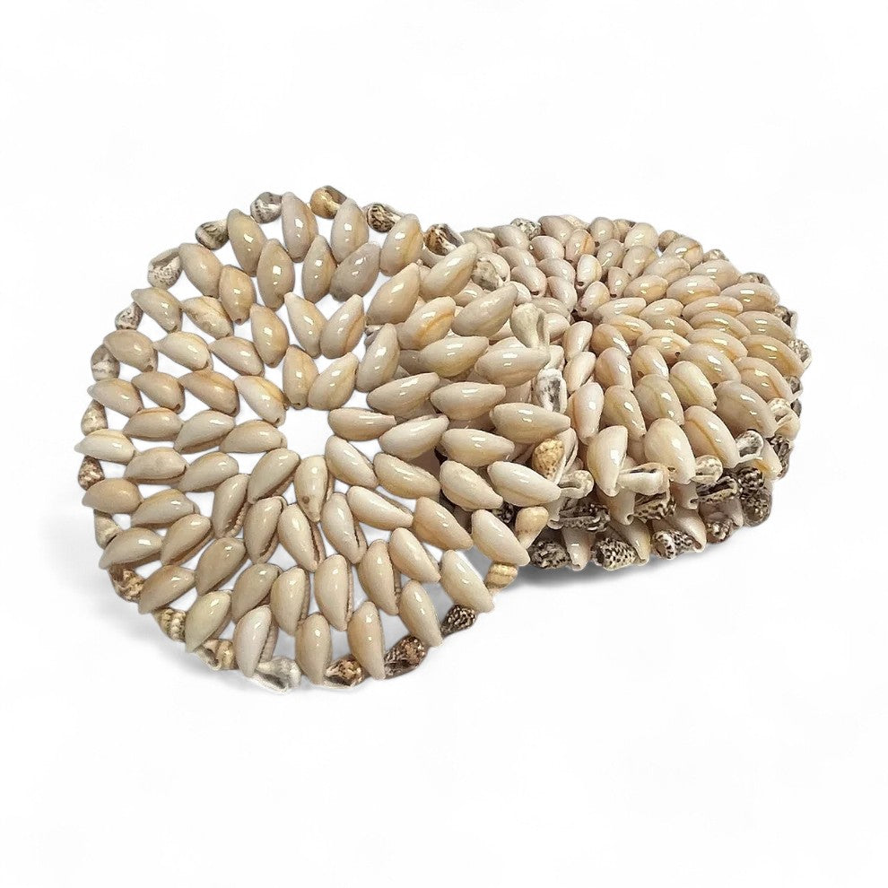Shell Coasters (4 pack)