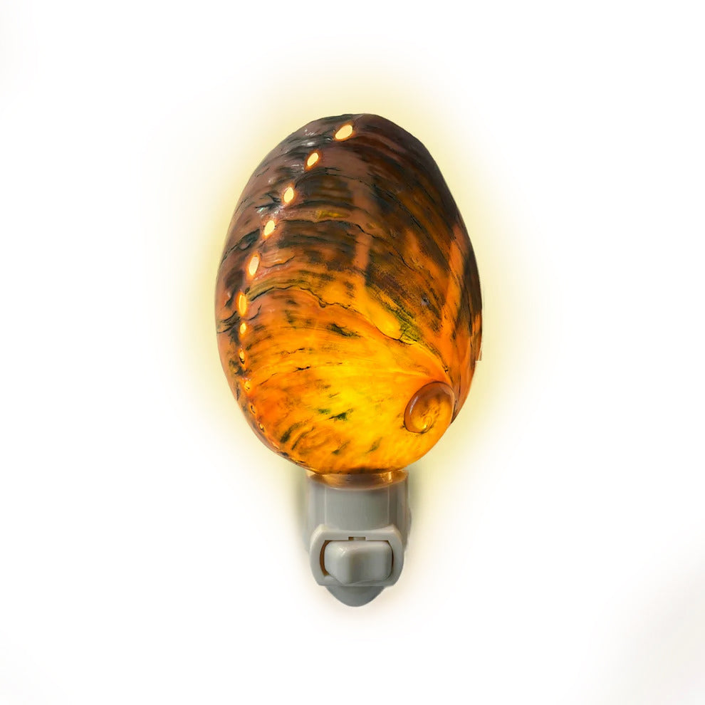 Real Shell Night Lights