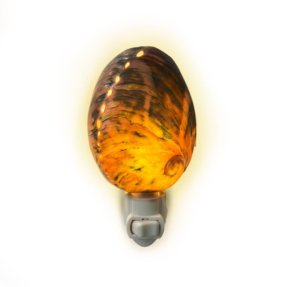 Real Shell Night Lights