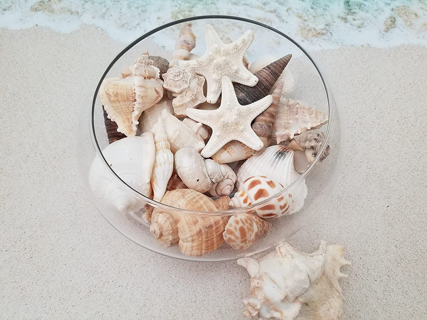 Tan Shell Mix