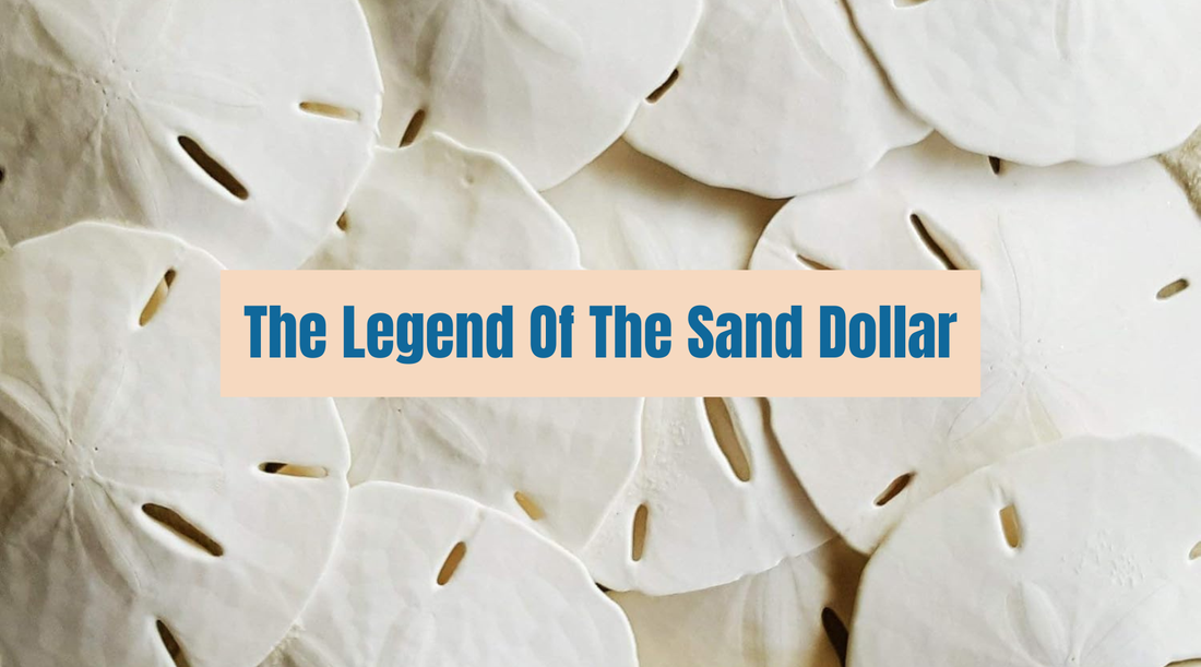 The Symbolism of Sand Dollars: Legends, Stories, & Meanings