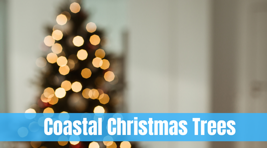 7 Coastal Christmas Tree Ideas For Beach Lovers