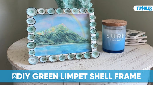 DIY Green Limpet Shell Frame