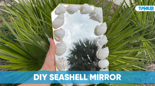 DIY Seashell Mirror