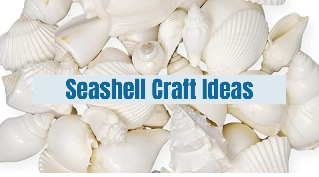 7 Creative Seashell Craft Ideas
