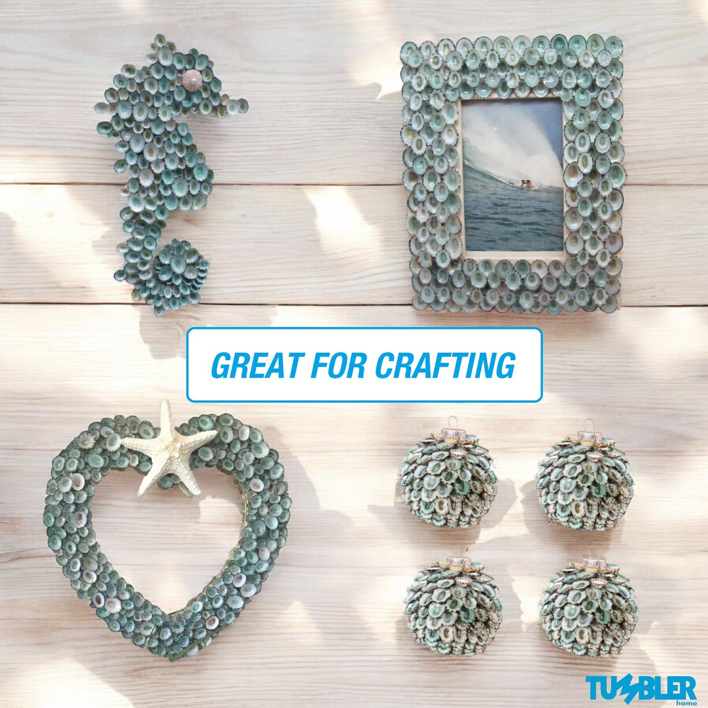 Green Limpet Shells for Crafting (40pcs)