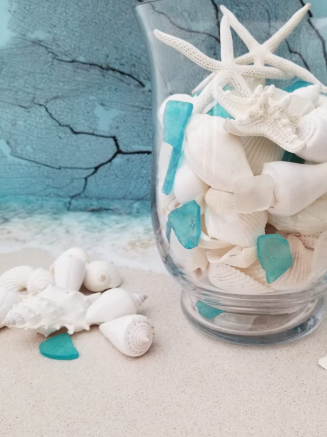 Sea Shells, Starfish & Sea Glass Mix