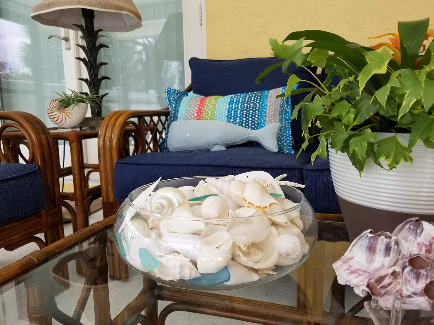 White Seashell Mix