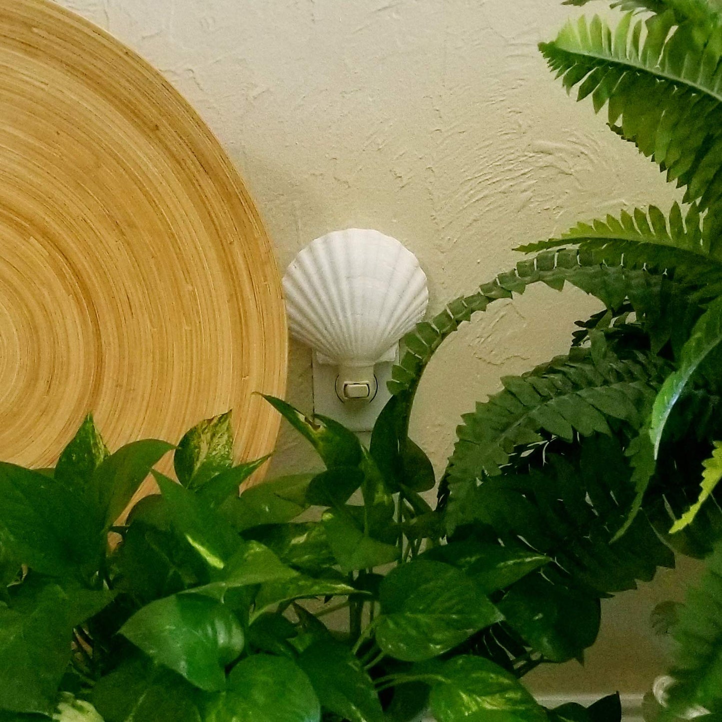 Beachy Night Light