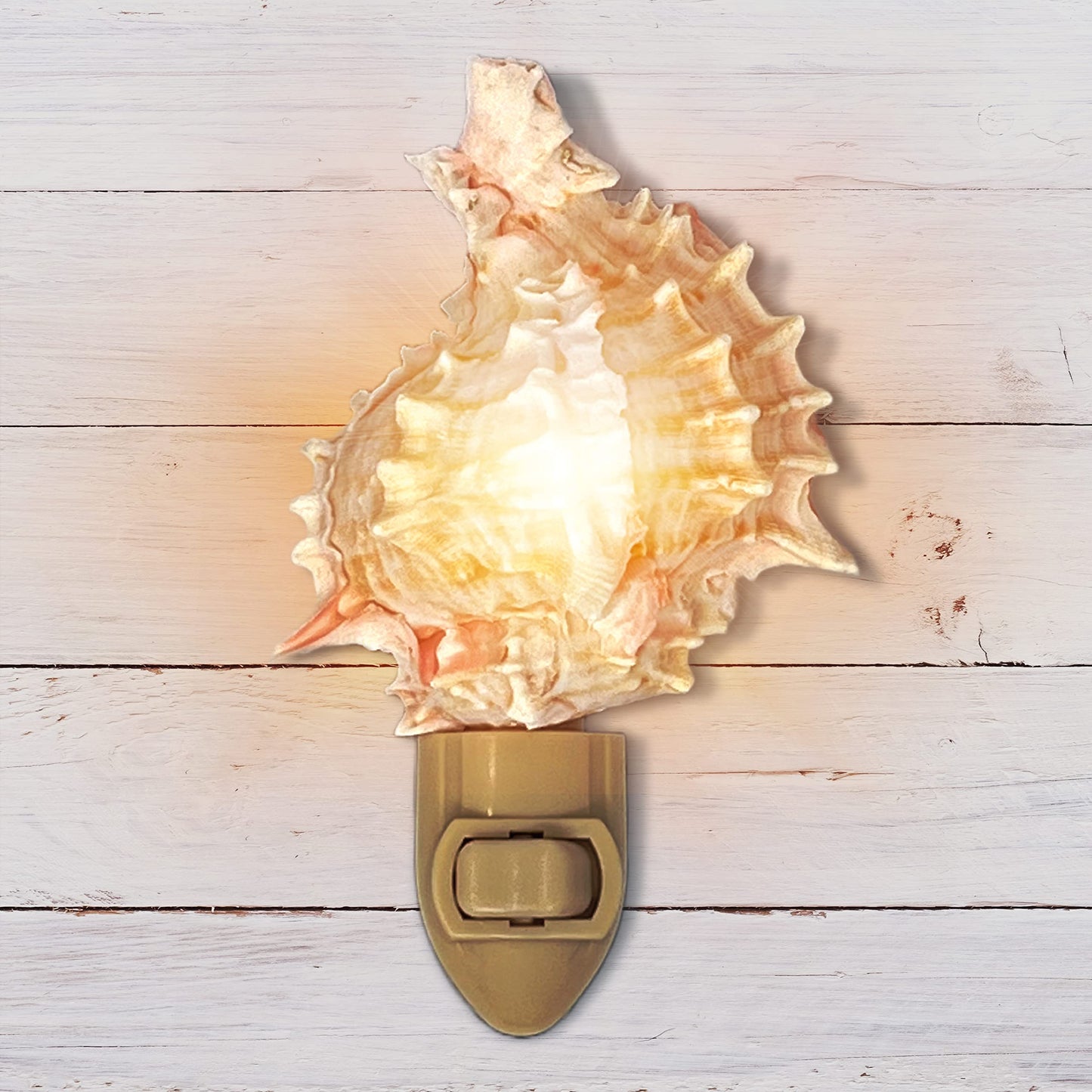 Real Shell Night Lights
