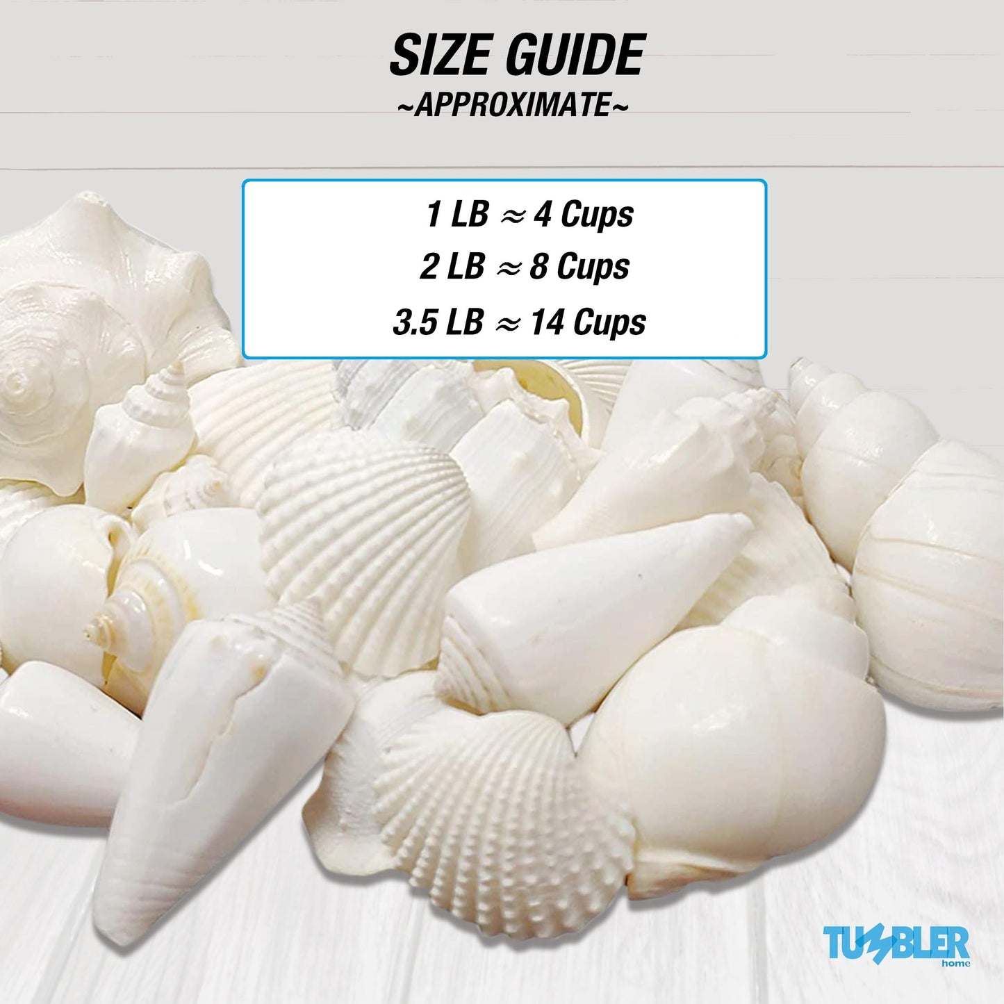 White Seashell Mix