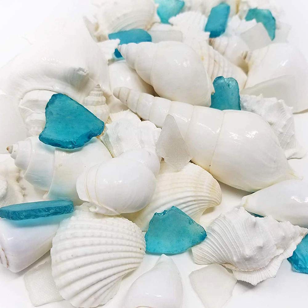Sea Shells, Starfish & Sea Glass Mix