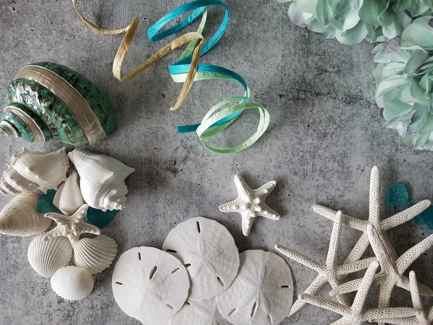 Sea Shells, Starfish & Sea Glass Mix