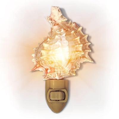 Real Shell Night - Murex Pink