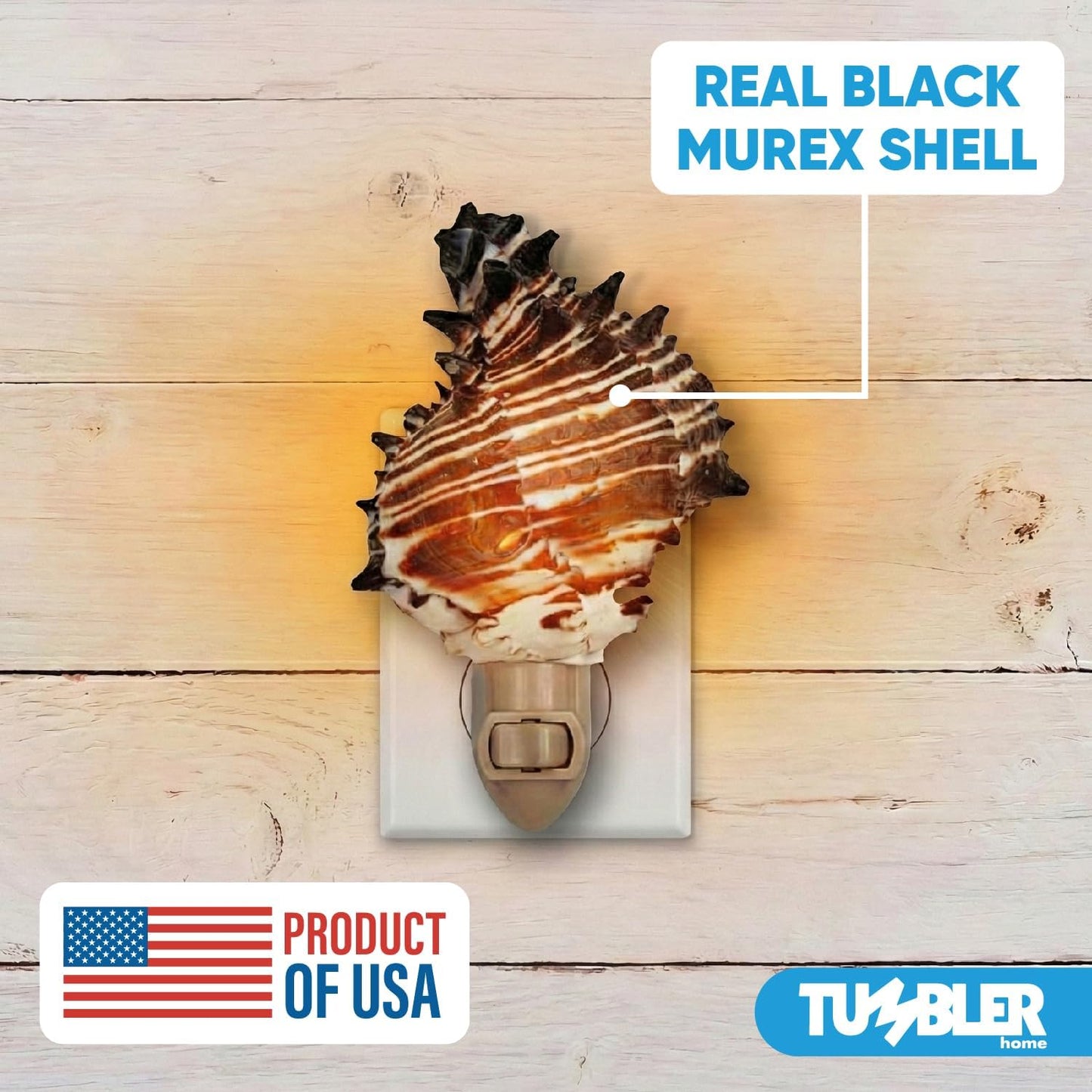 Real Shell Night Lights - Black Murex
