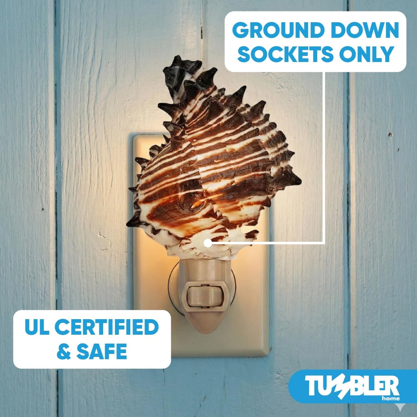 Real Shell Night Lights - Black Murex