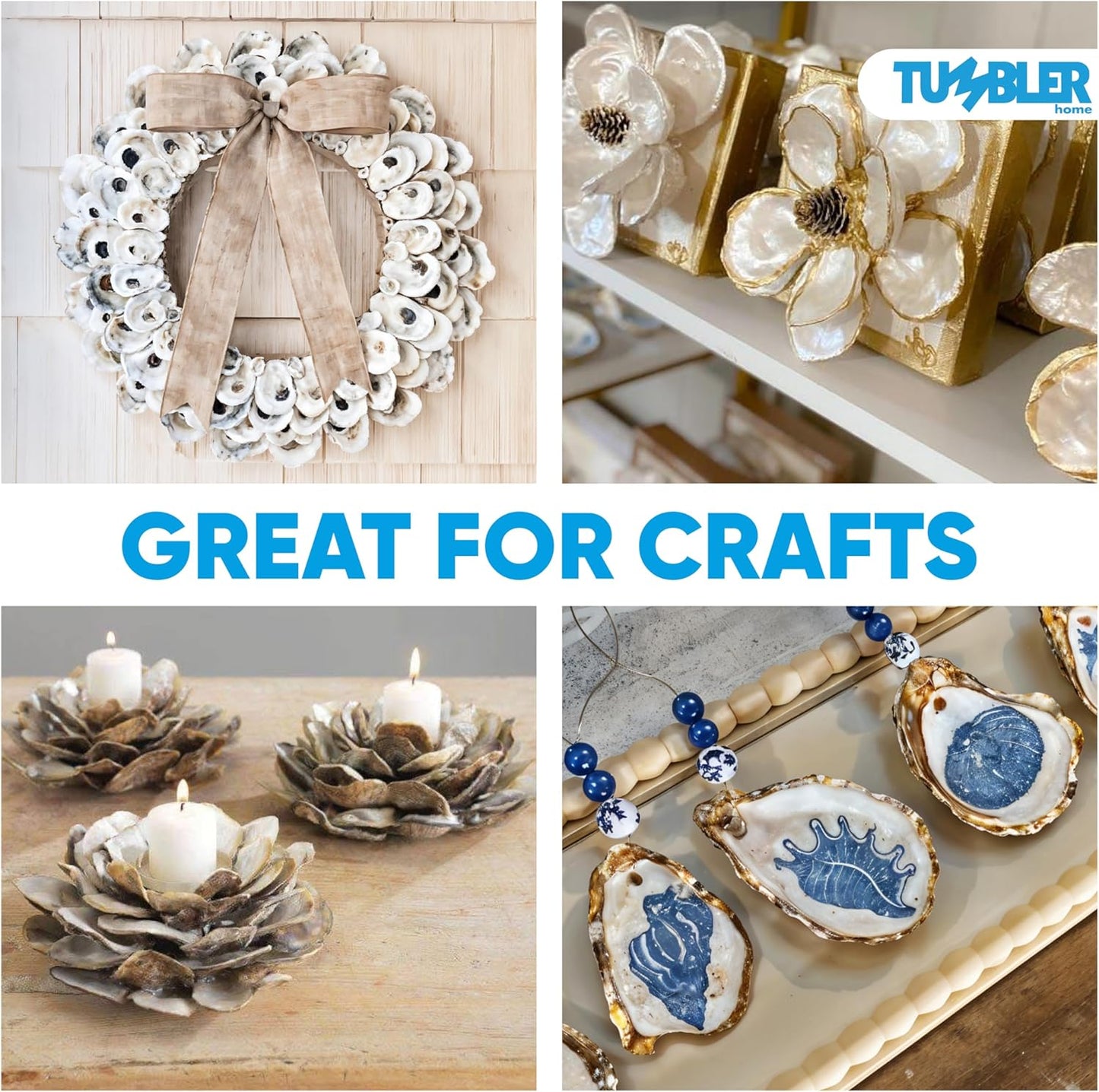 Oyster Shells for Crafts (20 pack)