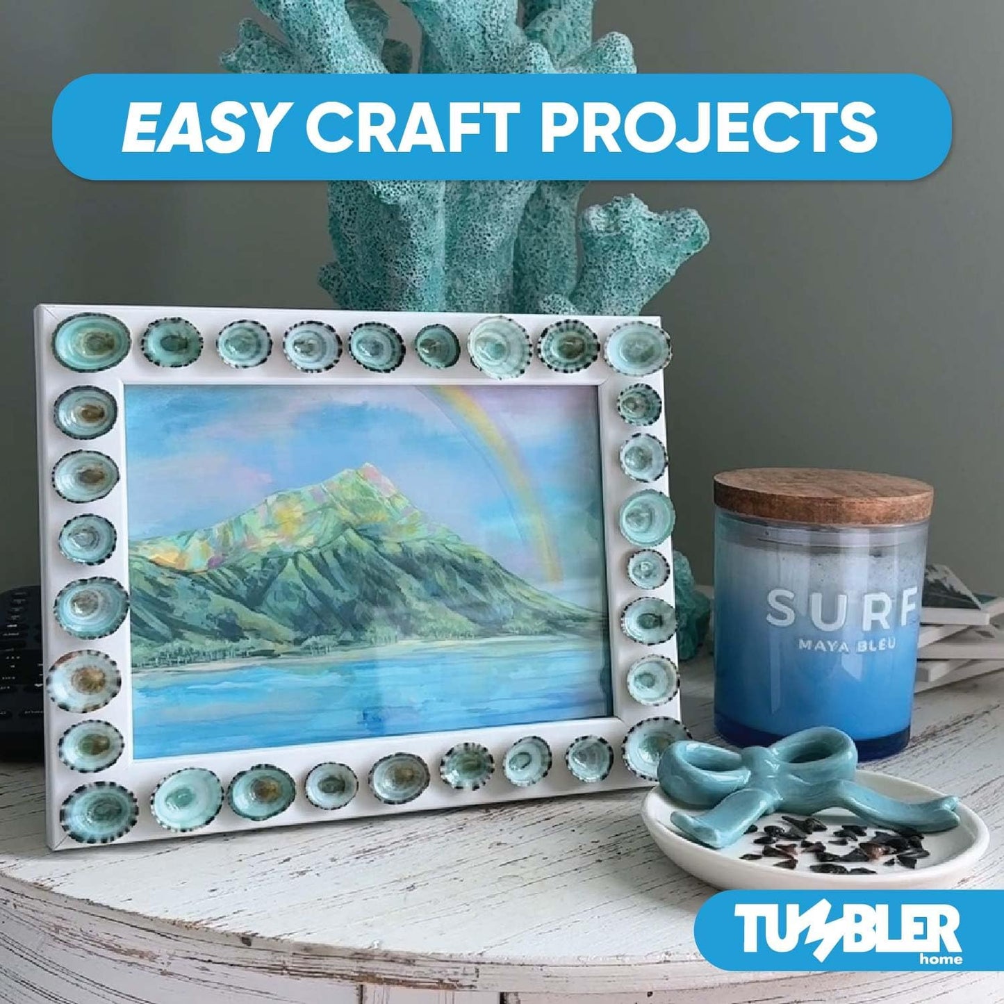 Green Limpet Shells for Crafting (40pcs)