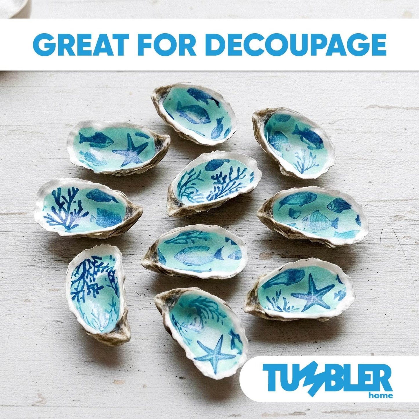 Oyster Shells for Crafts (20 pack)