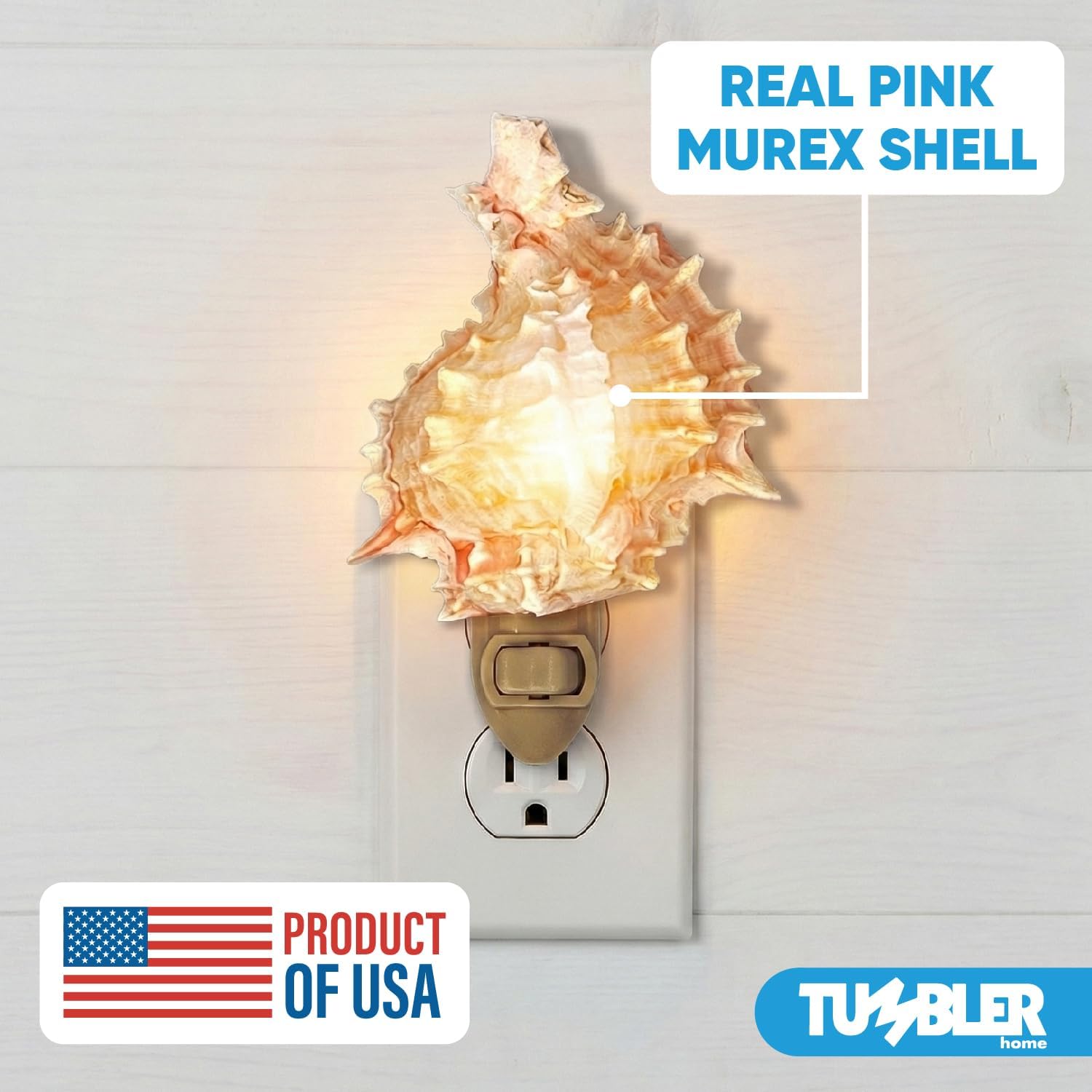 Real Shell Night - Murex Pink – Tumbler Home