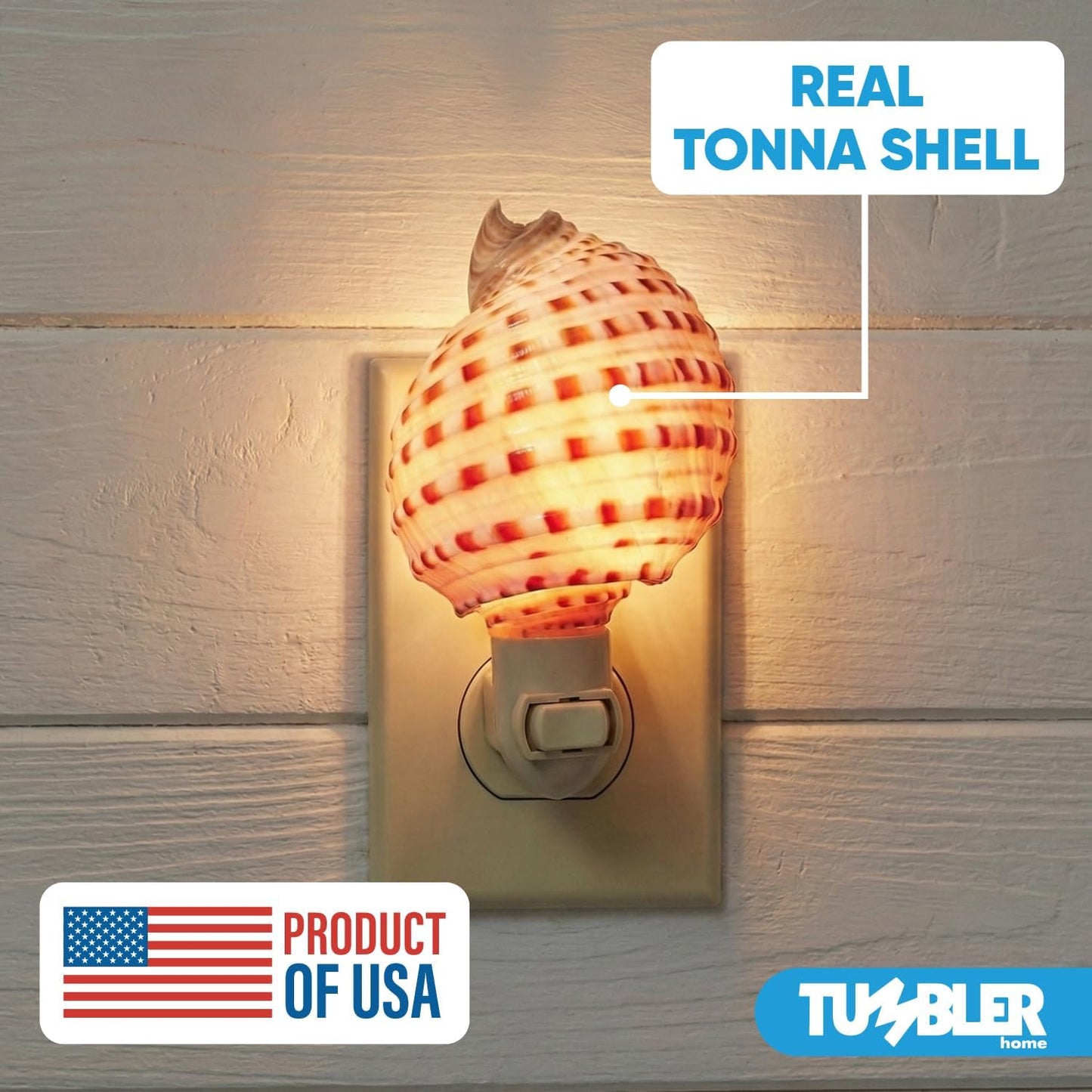 Real Shell Night Lights - Striped Tonna