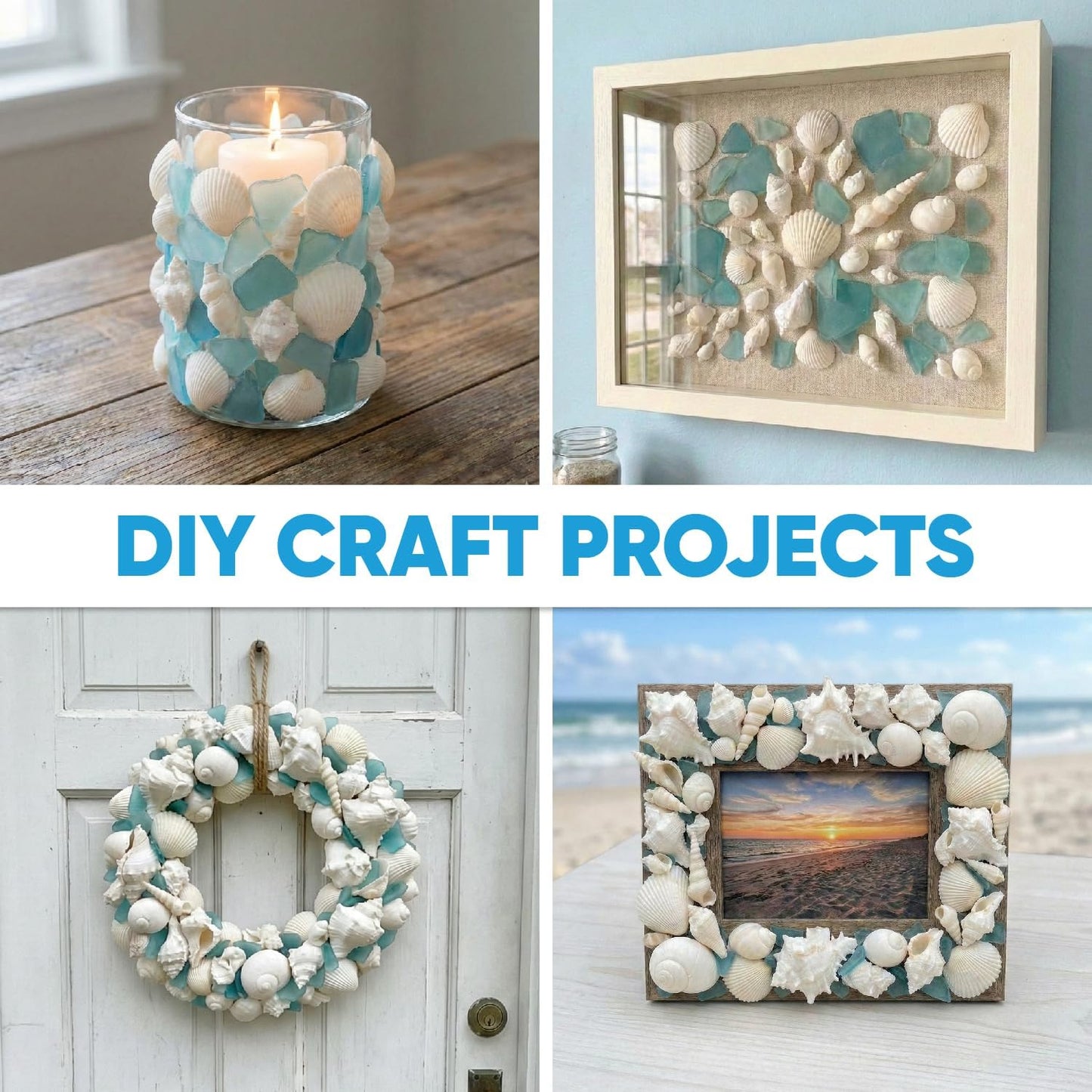 Sea Shells, Starfish & Sea Glass Mix