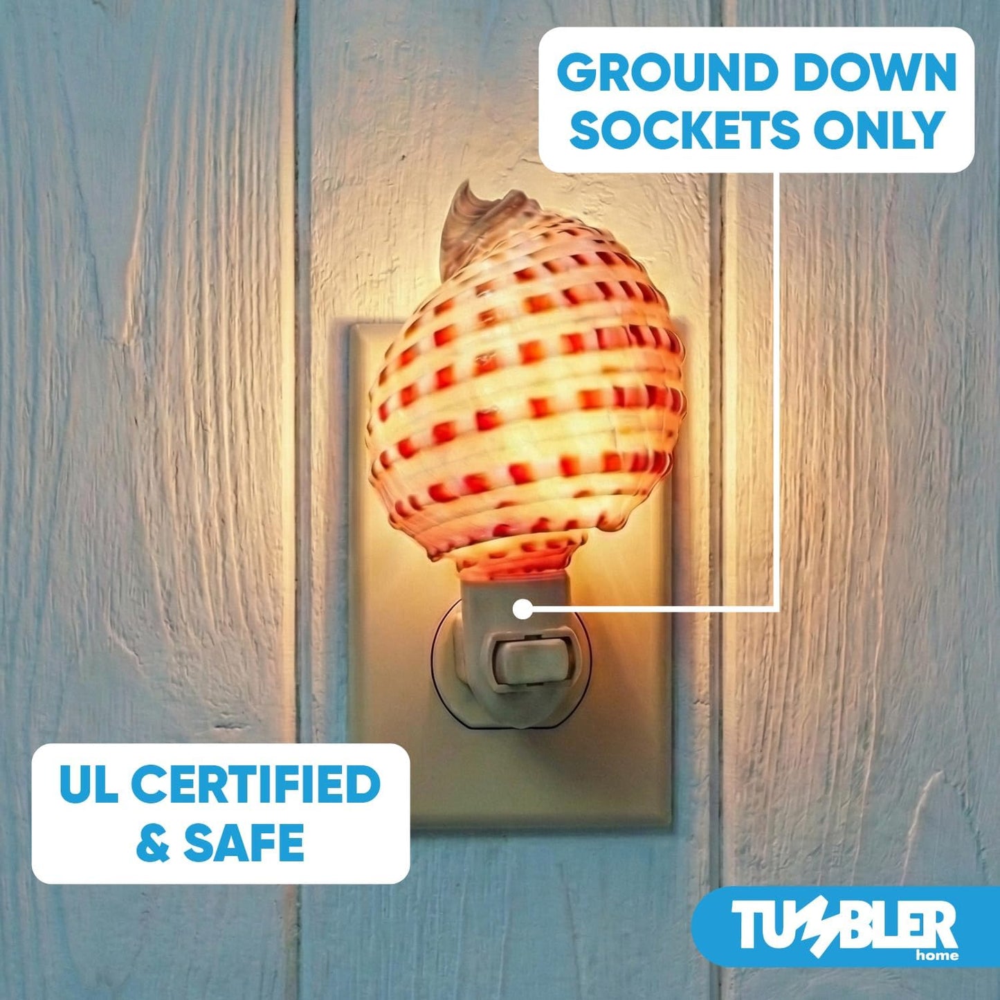 Real Shell Night Lights - Striped Tonna