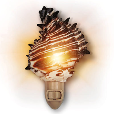 Real Shell Night Lights - Black Murex