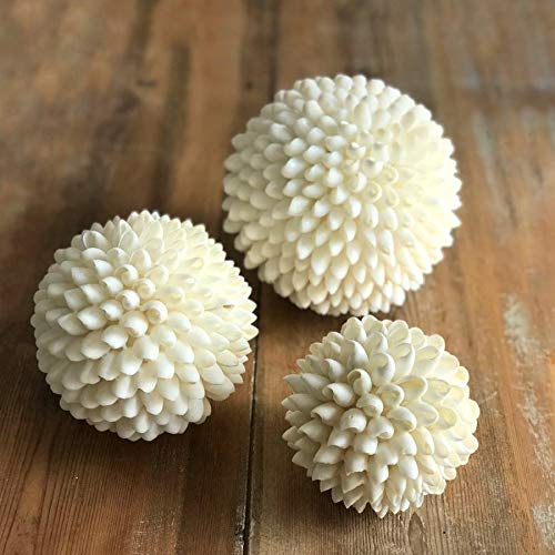 Decorative Shell Ball - 3 Inch