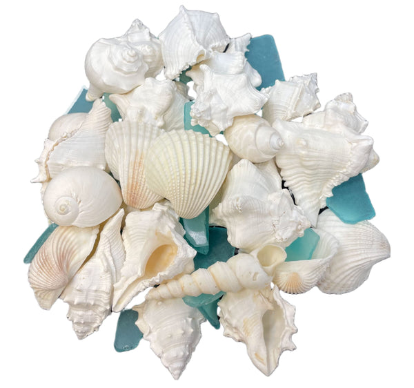 Sea Shells, Starfish & Sea Glass Mix – Tumbler Home