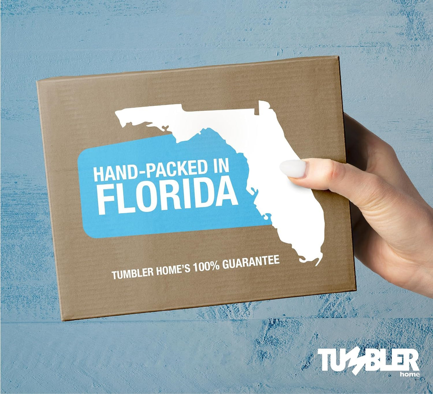 Florida Sand Dollars: 1.25" inch